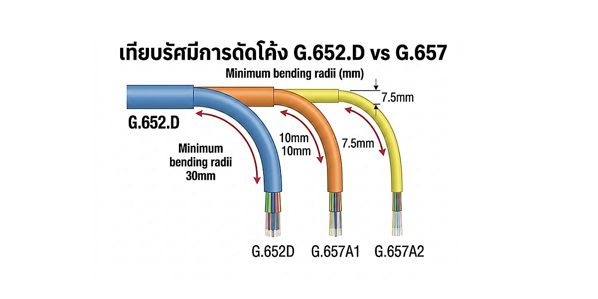 คอร์ไฟเบอร์ G.652D, G657A1, G657A2 ต่างกันอย่างไร