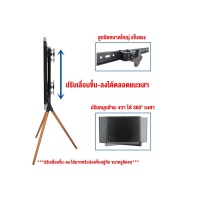 BDEE ขาตั้งทีวีแบบสามขา ขนาด 32-65 นิ้ว รุ่น S25