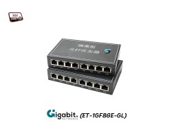 Gigabit Media Converter IN8 OUT8 VLAN Point To Point