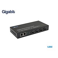 1.25G Fiber Switch SFP 4 Port + 2GE