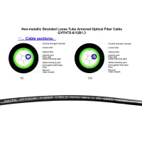 สายไฟเบอร์ออฟติก ARSS SM 6 CORE Armored (1KM)