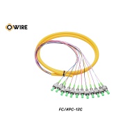 Pigtail 12 Core FC/APC SM 0.9mm ยาว 1.5 เมตร Pigtail 12 Core FC/APC SM 0.9mm ยาว 1.5 เมตร
