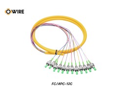Pigtail 12 Core FC/APC SM 0.9mm ยาว 1.5 เมตร