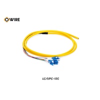 Pigtail 12 Core LC/UPC SM 0.9mm ยาว 1.5 เมตร Pigtail 12 Core LC/UPC SM 0.9mm ยาว 1.5 เมตร