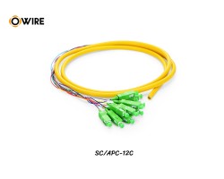 Pigtail 12 Core SC/APC SM 0.9mm ยาว 1.5 เมตร