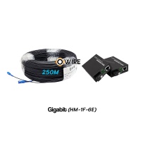 สายไฟเบอร์ออฟติก 1 Core 250 เมตร + Media BIDI 1G สายไฟเบอร์ออฟติก 1 Core 250 เมตร + Media BIDI 1G
