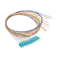 PIGTAIL | SM PIGTAIL | SM