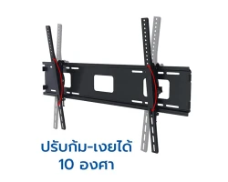 ขาแขวนทีวี ขนาด 65-100 นิ้ว BDEE รุ่น WA-09