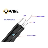 สายไฟเบอร์ออฟติก 2 Core 100 เมตร + Media DX 1G