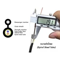 สายไฟเบอร์ออฟติก FIG.8 SM 2 CORE Armored LSZH (1KM)