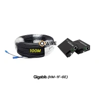 สายไฟเบอร์ออฟติก 1 Core 100 เมตร + Media BIDI 1G