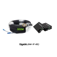 สายไฟเบอร์ออฟติก 1 Core 300 เมตร + Media BIDI 1G