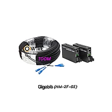 สายไฟเบอร์ออฟติก 2 Core 100 เมตร + Media DX 1G