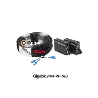 สายไฟเบอร์ออฟติก 2 Core 300 เมตร + Media DX 1G