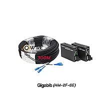 สายไฟเบอร์ออฟติก 2 Core 300 เมตร + Media DX 1G