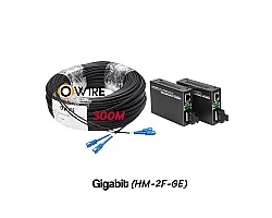 สายไฟเบอร์ออฟติก 2 Core 300 เมตร + Media DX 1G